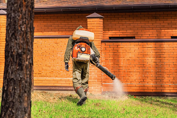 Bed Bug Clearance Verification and Documentation in Niles
